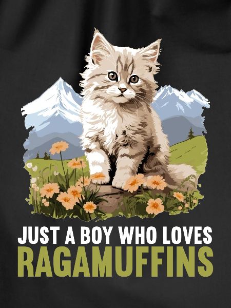 Ragamuffin Kitten Ragamuffin Cat