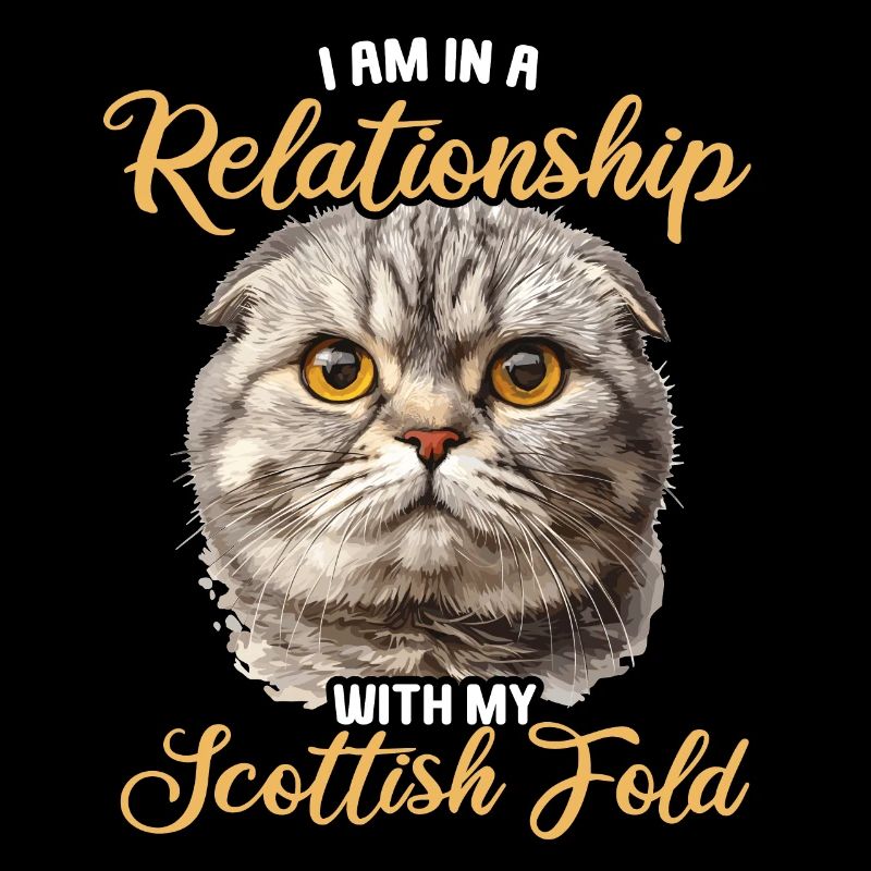 Scottish Fold Kätzchen Scottish Fold Katze