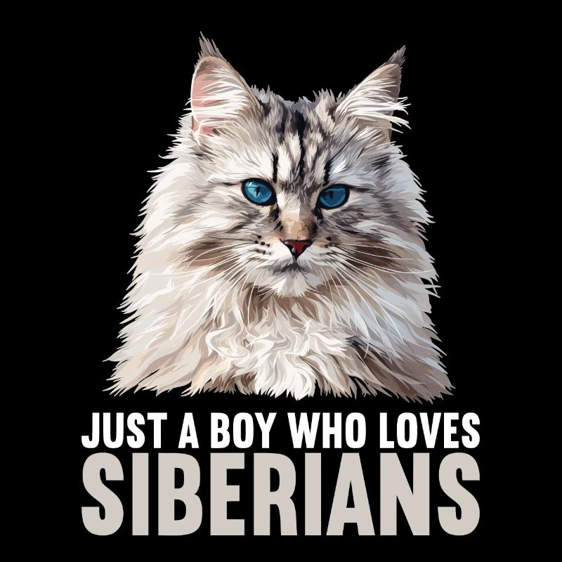 Chat Sibérien Sibirische Katze