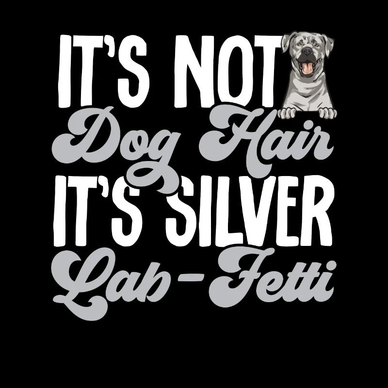 Silver Labrador Retriever Silver Lab