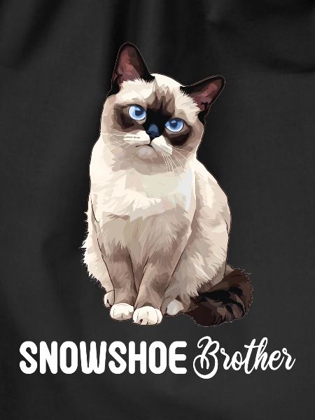 Snowshoe Kitten Snowshoe Cat