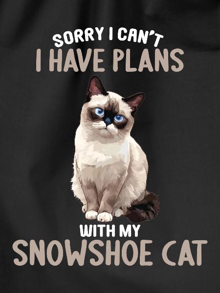 Snowshoe Kitten Snowshoe Cat