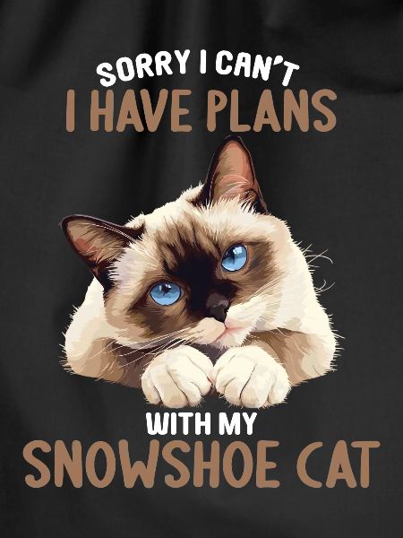 Snowshoe Kitten Snowshoe Cat