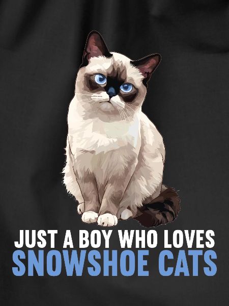 Snowshoe Kitten Snowshoe Cat