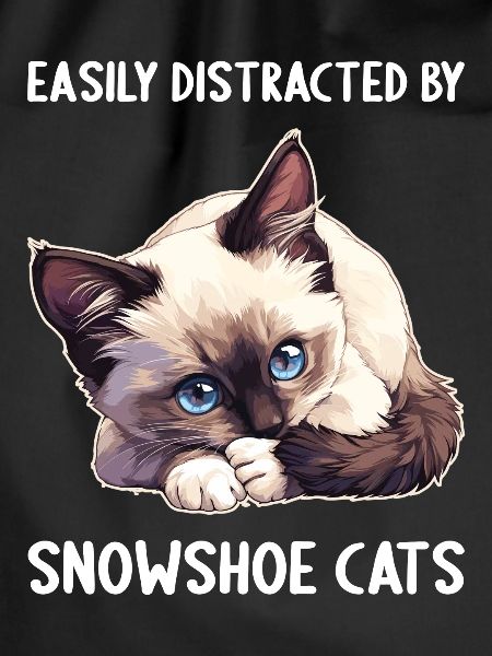 Snowshoe Kitten Snowshoe Cat