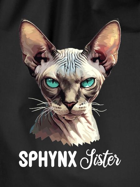 Sphynx Kitten Sphynx Cat