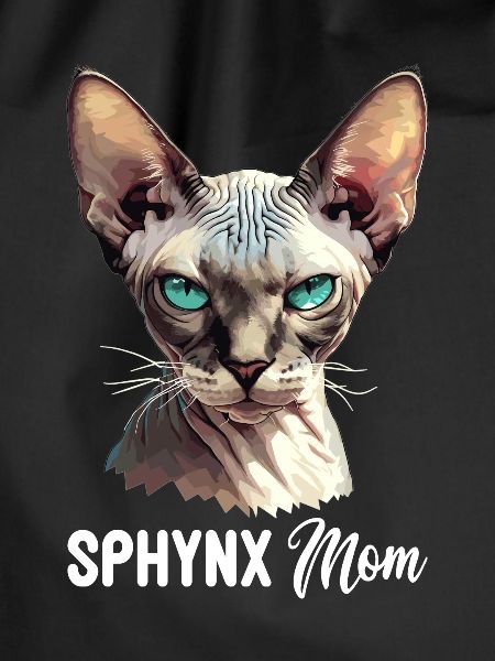 Sphynx Kitten Sphynx Cat