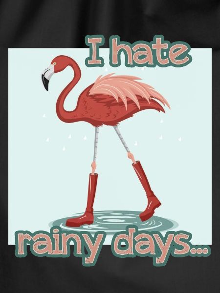 FLAMINGO- RAIN- RETRO