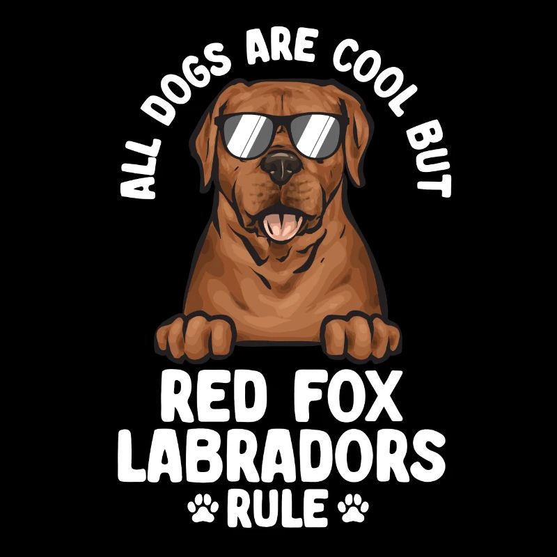 Fuchsroter Labrador Retriever Fox Red Labrador