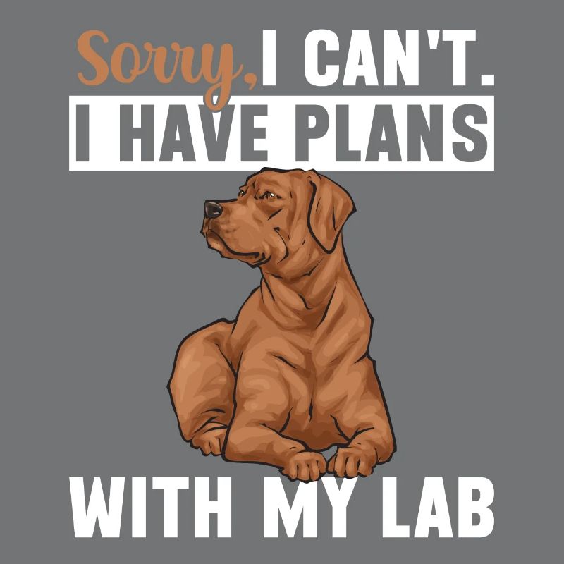 Fuchsroter Labrador Retriever Fox Red Labrador