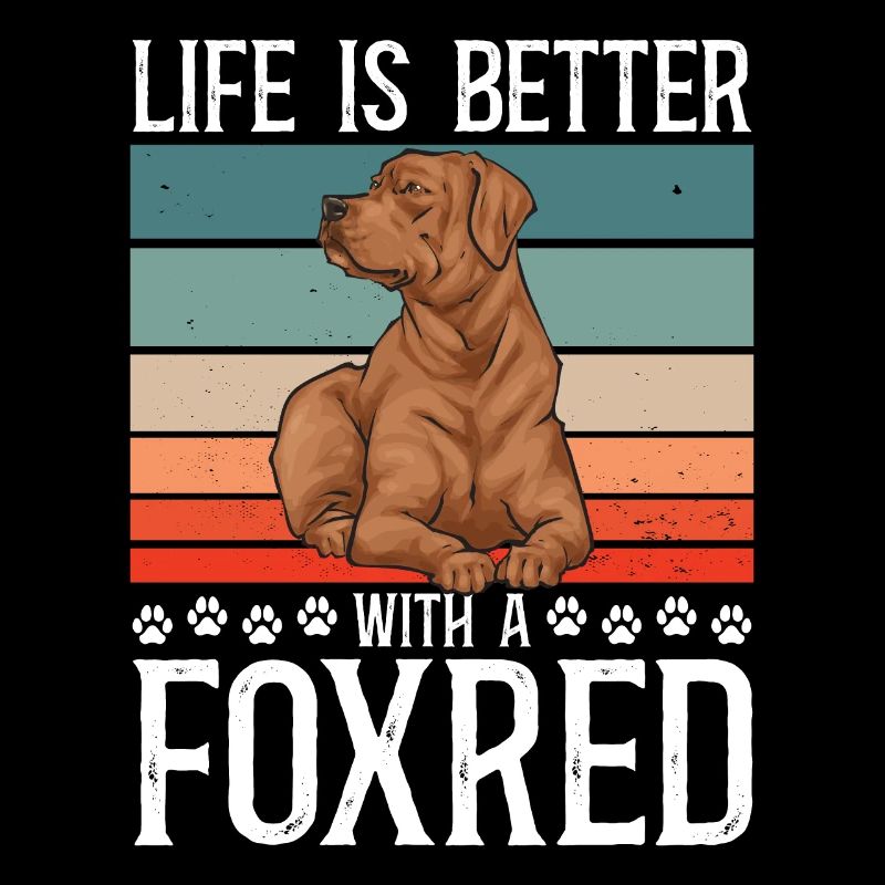 Fuchsroter Labrador Retriever Fox Red Labrador