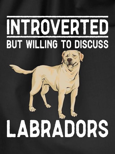 Yellow Labrador Retriever