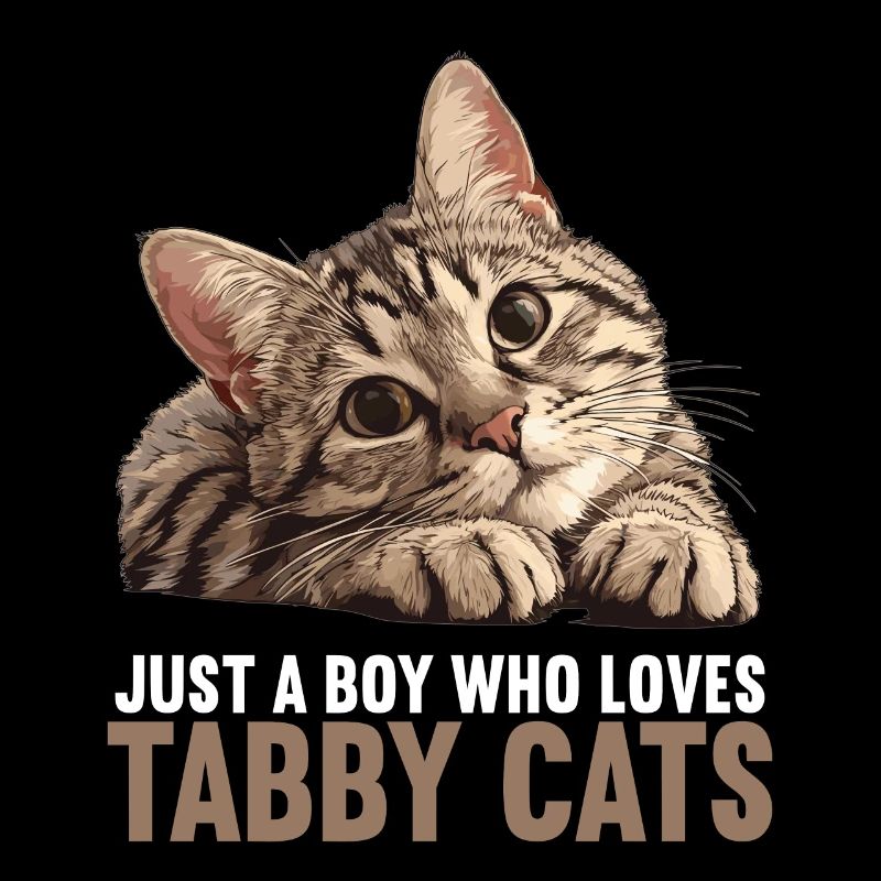 Tabby Kätzchen Tabby Katze