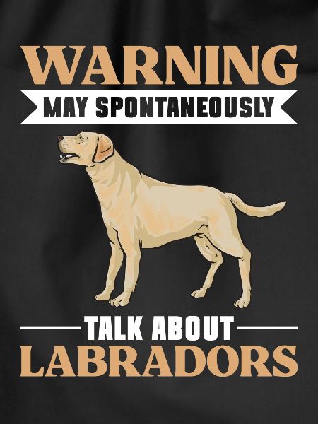 Yellow Labrador Retriever