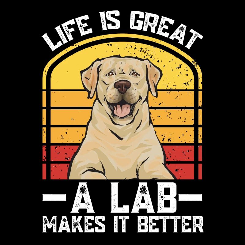 Yellow Labrador Retriever