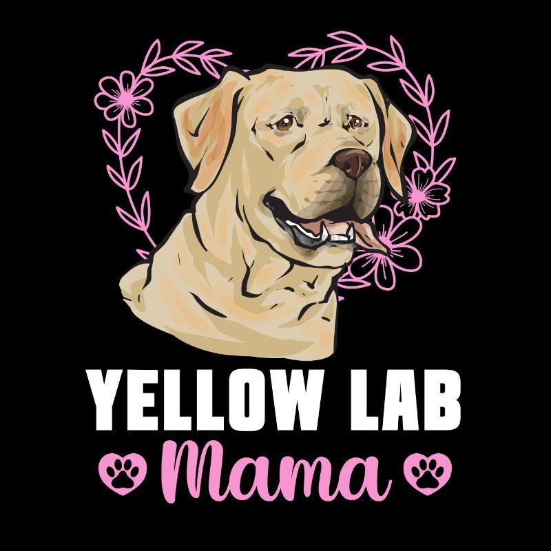 Yellow Labrador Retriever