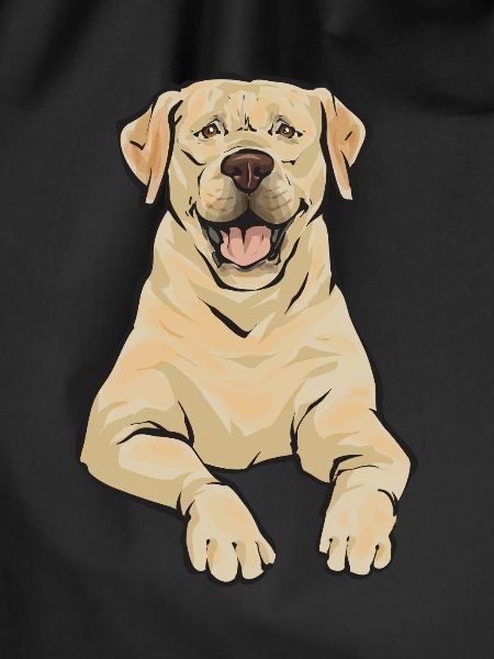 Yellow Labrador Retriever