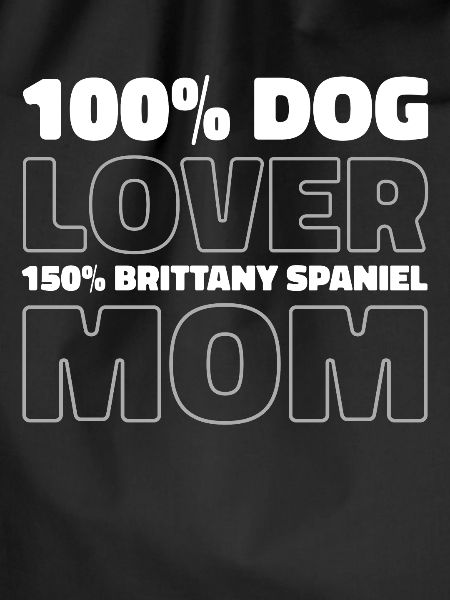 Brittany Spaniel