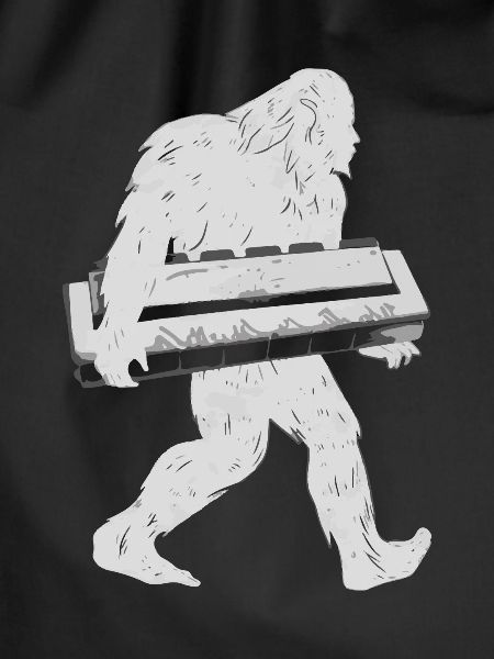 Harmonica Playing Gift