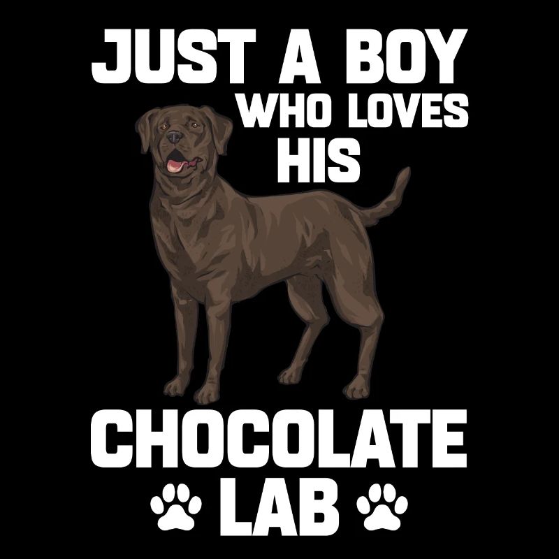Schoko Brauner Labrador Retriever Hund