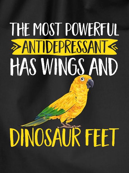 Parakeet, Parrot, Parakeet, Bird