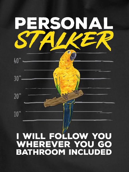 Parakeet, Parrot, Parakeet, Bird