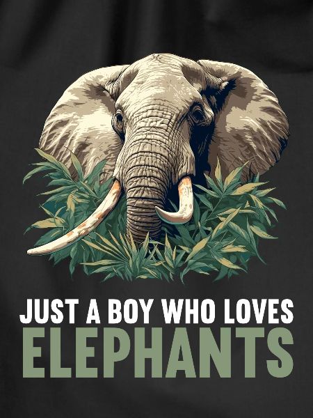 Elefanten Elefant