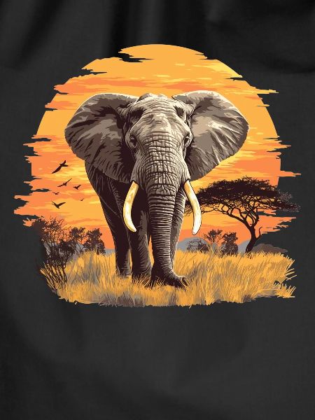 Elefanten Elefant