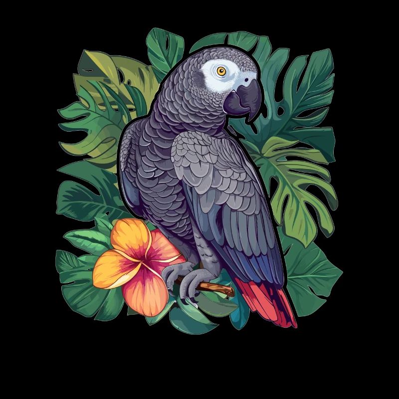 Perroquets gris d’Afrique