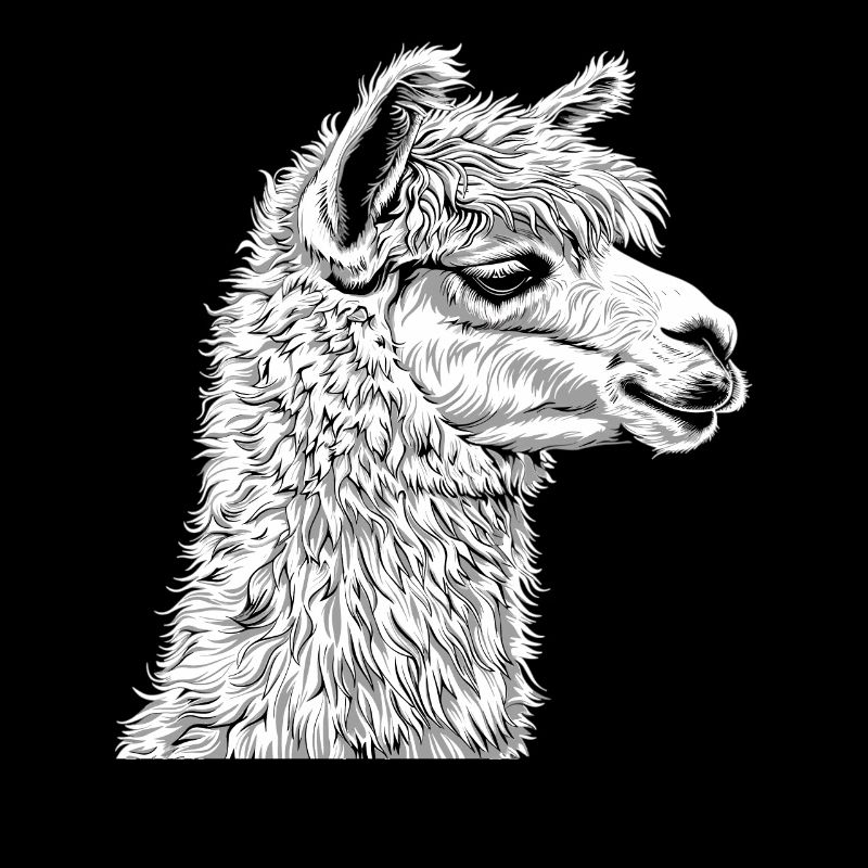 Alpaca Alpacas Alpaca