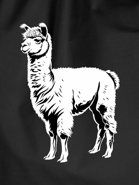 Alpaca Alpacas Alpaca