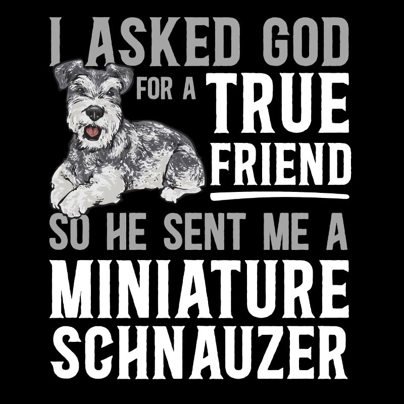 Zwergschnauzer Hund Schnauzer