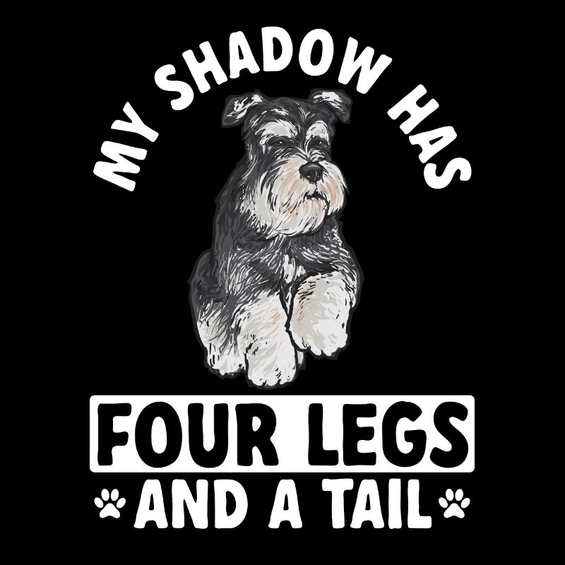 Zwergschnauzer Hund Schnauzer