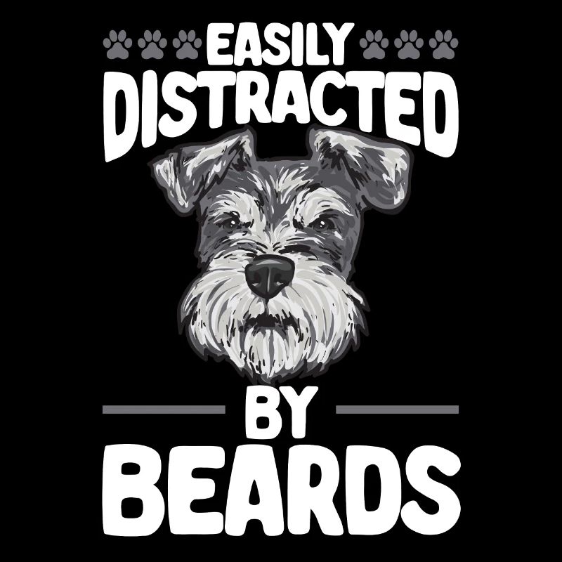 Zwergschnauzer Hund Schnauzer