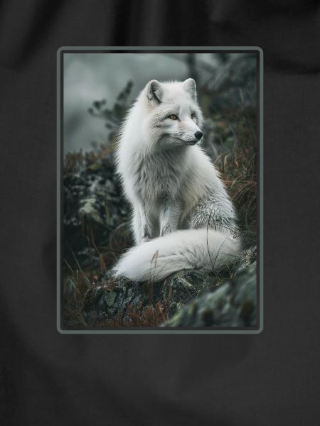 Arctic Fox Polarfüchse Polarfuchs