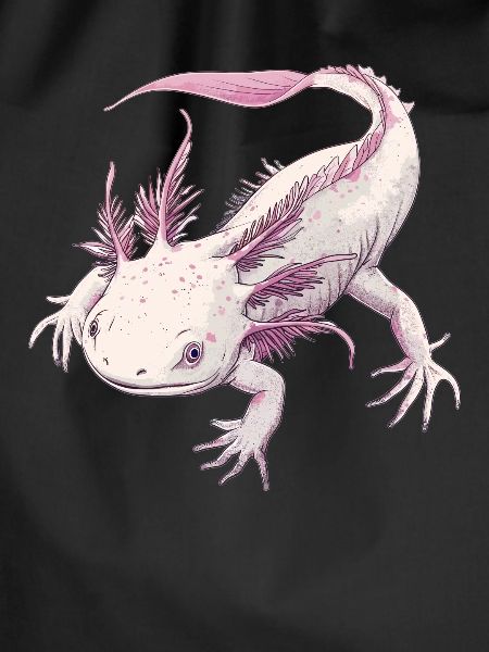 Axolotl
