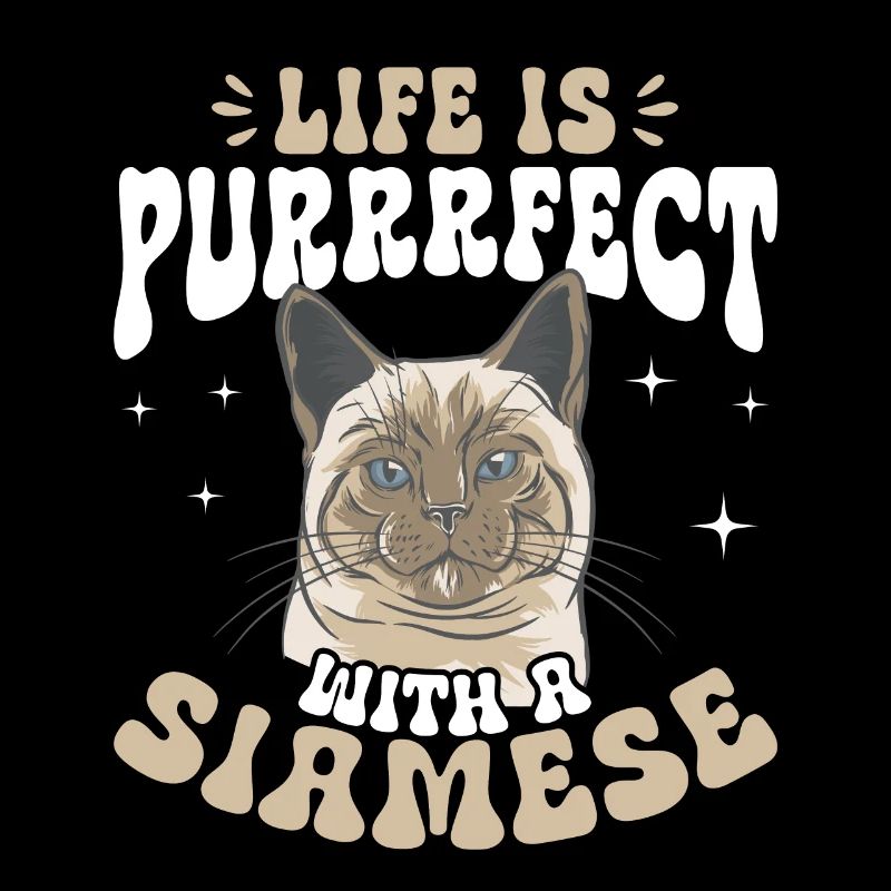 Siamese Cat Siamese Cat