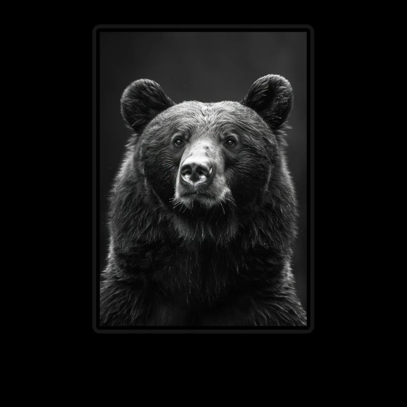 Bear Bären Bär