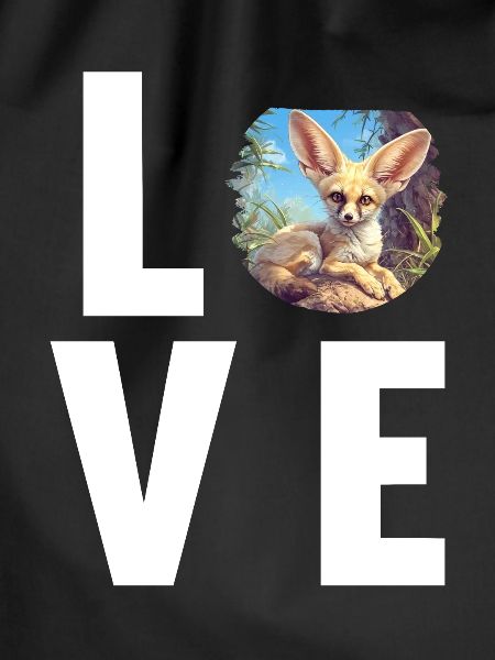 Fennec Fox Fenneks Fennek