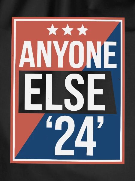 Anyone Else Election 2024