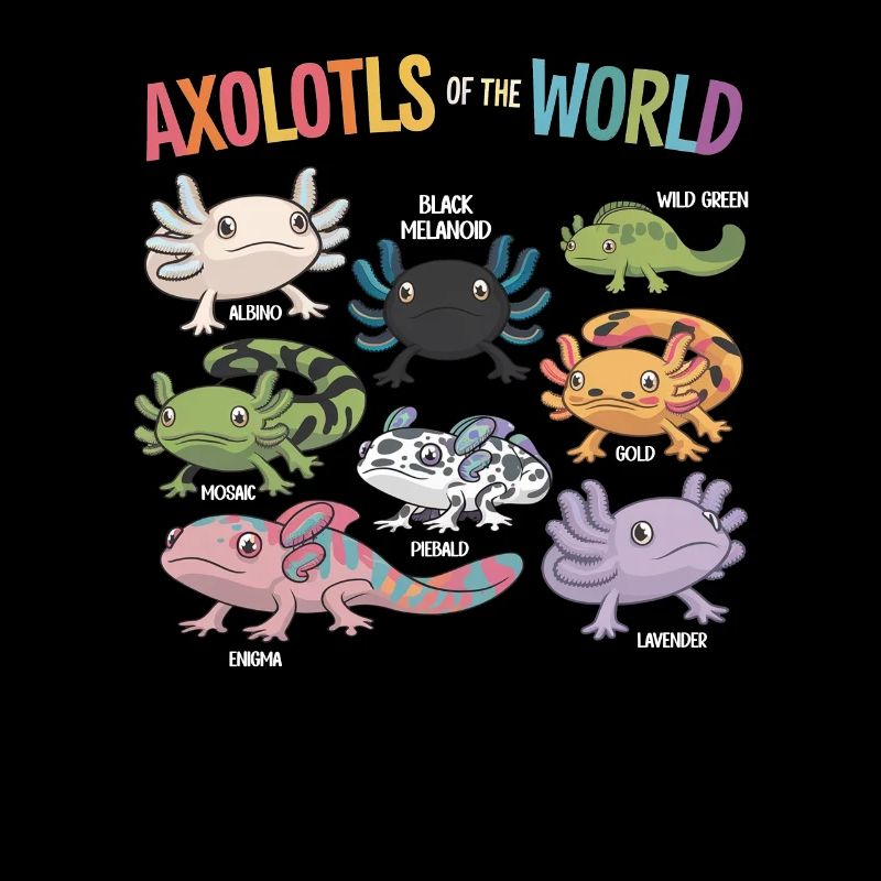Axolotls Der Welt Süßer Anime Salamander
