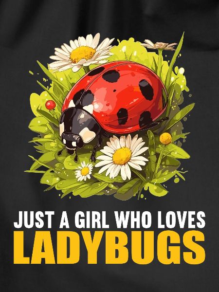 Ladybug Marienkäfer