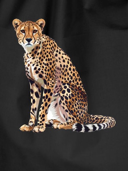 Cheetah Geparde Gepard