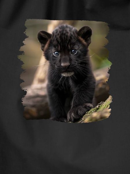Panthers Panther