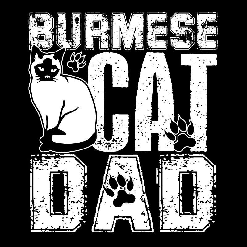 Burmese Cat Burmese Cat Dad