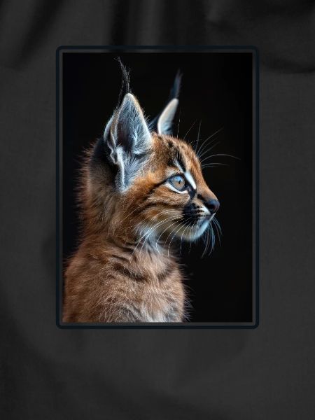 Caracal Karakale Karakal