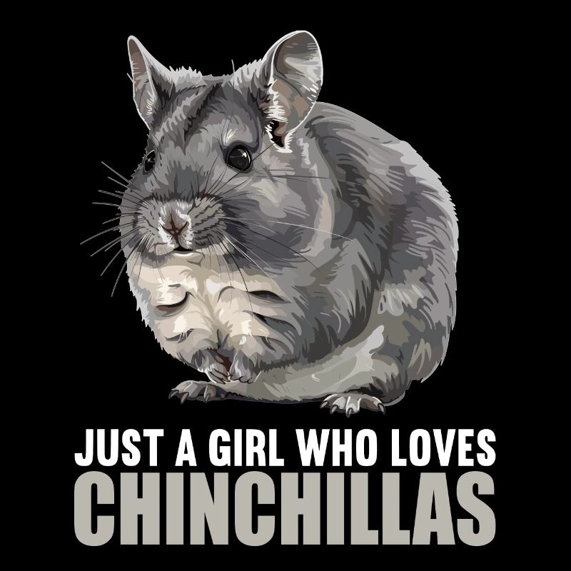 Chinchillas Chinchilla