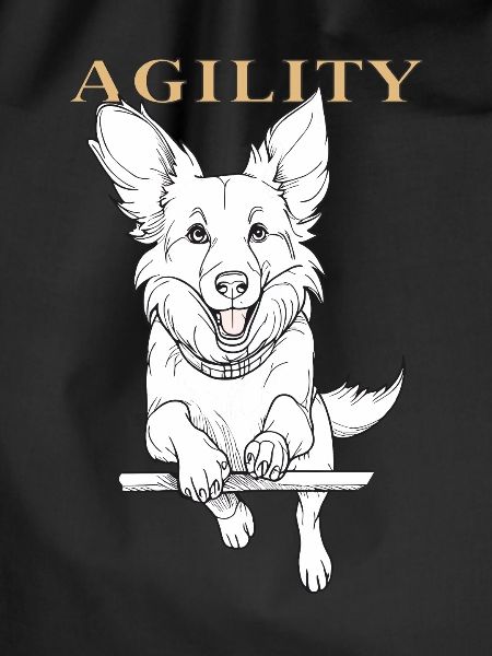 DOG AGILITY