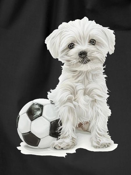 Maltese