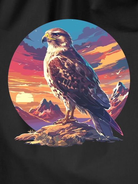 Falcon Falcon